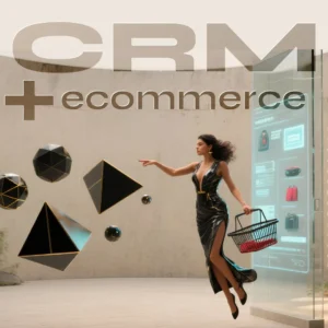 Ecommerce CRM